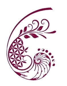 Erell Fougères Ambazac, Techniques énergétiques