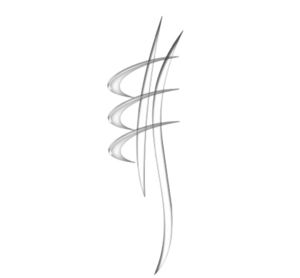 Clotilde Grillot Collard Dijon, Chiropraxie