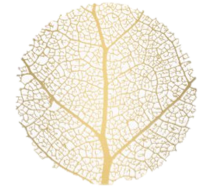 Elsa Girard Osteopathe Grenoble, Ostéopathie