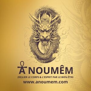 Anoumêm Saint-Bonnet-Tronçais, Reiki