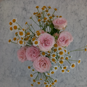 Lunessence Joy Sables-d'Olonne, Praticien de médecine alternative