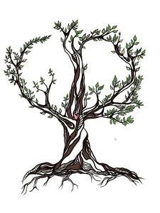 Christel Dijoux Biganos, Magnétisme, Hypnose