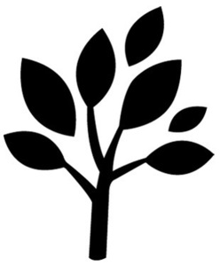 Anne Luconi - Shiatsu et énergétique chinoise - Yoga Kundalini Corbières, Shiatsu, Techniques énergétiques