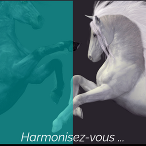 Muriel Le Rolland sophrologue & hypnothérapeute Verneuil-sur-Seine, Hypnose