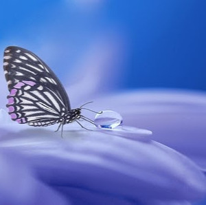 Patricia Giffard Montjoi, Hypnose