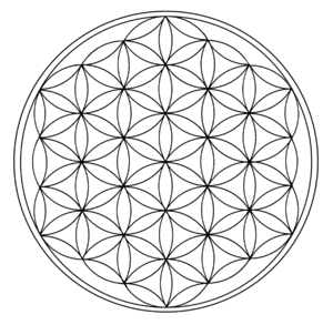 Julien Romain Piot Saint-Priest, Réflexologie, Reiki