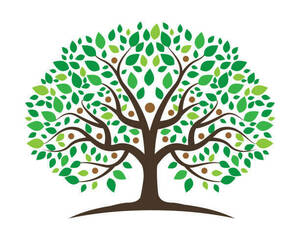 Sylvie Aubert Energéticienne   Villemoustaussou, Techniques énergétiques, Coach de vie, Astrologue, Géobiologie, Hypnose, Acupuncture, Naturopathie, Thérapeute