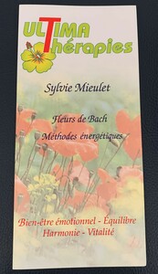 Sylvie Mieulet Cotignac, Fleurs de bach, Techniques énergétiques
