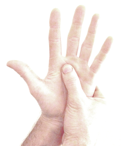 JC WAECHTER Chomérac, Praticien de médecine alternative