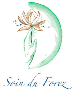 Merryl Perret Tarare, Techniques énergétiques, Shiatsu