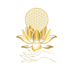 Valérie Rossi Viala-du-Tarn, Magnétisme, Techniques énergétiques