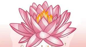 Angélique GUY Déols, Reiki