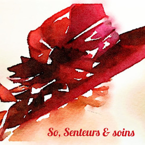 So, Senteurs et Soins Vedène, Techniques énergétiques