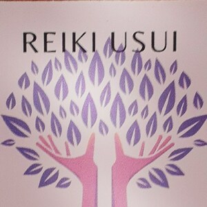 Riochet Mickael Valros, Reiki, Musicothérapie