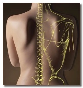 Amira Bouaziz  Thiais, Chiropraxie