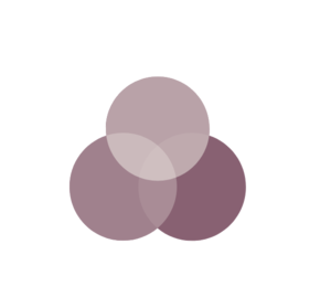 Audrey Morenne Romagnat, Kinésiologie, Réflexologie, Yoga