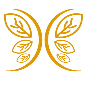 Dominique BERTON Vérin, Coach de vie