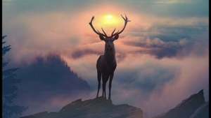 Christophe R.C. GONDA Paris 16, Psychothérapie