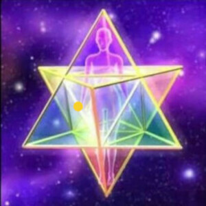 Etre la Force de Vie Chenôve, Thérapeute, Géobiologie, Reiki