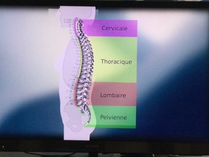 Serrano Aix-en-Provence, Thérapeute, Ostéopathie