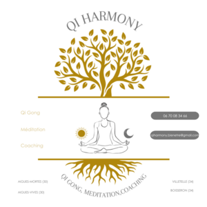 QI Harmony Aigues-Vives, Techniques énergétiques, Hypnose