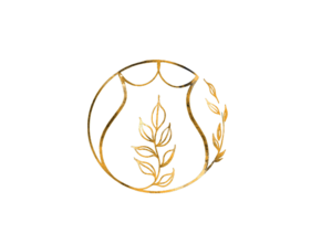 Claire de Lune Saintes, Doula, Coach de vie, Massage bien-être, Naturopathie, Réflexologie