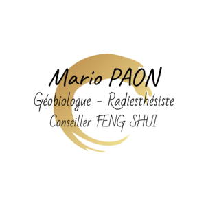 Mario PAON Auzouville-Auberbosc, Coach de vie