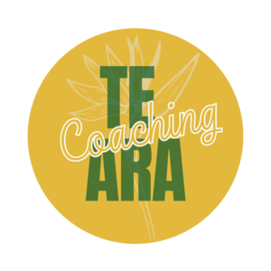 Vincent Cindy - Te ara Coaching Toulouse, Professionnel de santé, Coach de vie