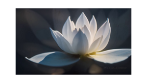 Christine LOUISIN Rouffignac-Saint-Cernin-de-Reilhac, Coach de vie, Géobiologie