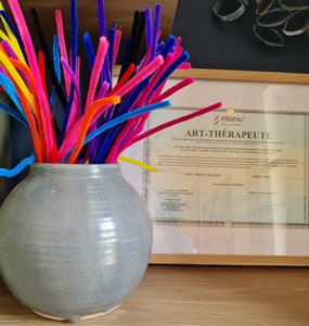 Sylvie Pellerin Dinan, Professionnel de santé