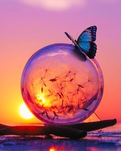 L'Accompagnement Autrement Polliat, Thérapeute, Coach de vie, Techniques énergétiques