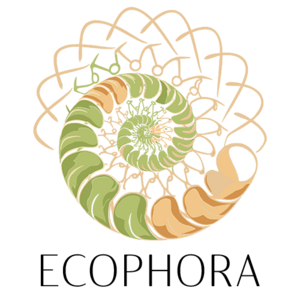 Centre Ecophora Saint-Pardoux, Praticien de médecine alternative