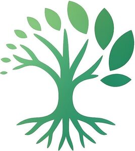 Pauline Beer Marseille, Psychothérapie