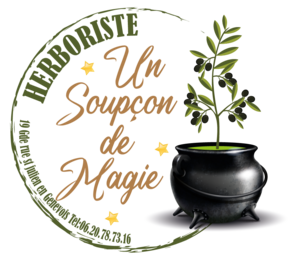 Rittner Isabelle Saint-Julien-en-Genevois, Thérapeute