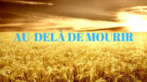 Jérôme Choisnet AU-DELA DE MOURIR Avignon, Psychopratique