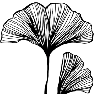 Sophie BALTACI Paris 2, Praticien de médecine alternative, Chiropraxie