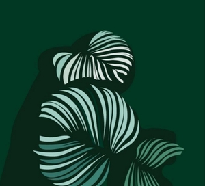 Delphine CARKA Lyon, Psychologie