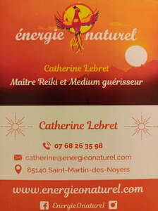 EnergieOnaturel Saint-Martin-des-Noyers, Reiki, Techniques énergétiques