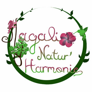 Magali Natur'harmonie Domessin, Reiki, Praticien de médecine alternative, Thérapeute
