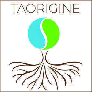 TAORIGINE Igon, Psychothérapie