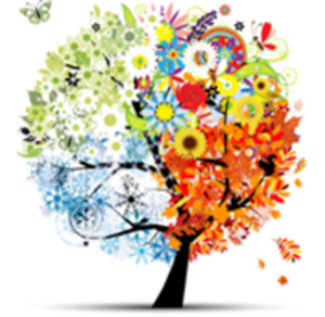 Hélène Pruel Mouazé, Praticien de médecine alternative