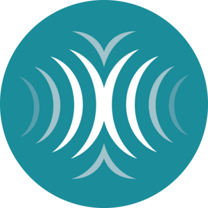 xavier daudet Montpellier, Magnétisme