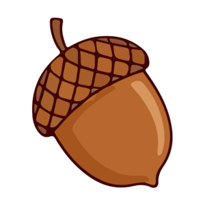 Lola Godet - Diététicienne Nutritionniste Lyon 1 Lyon, Professionnel de santé