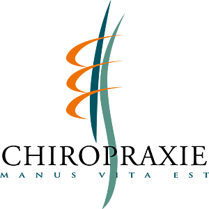 Stéphane Docoche Galluis, Chiropraxie