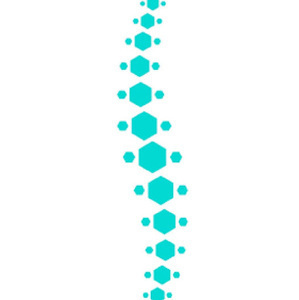 Clément Guillon Verne - Ostéopathe Campénéac, Ostéopathie