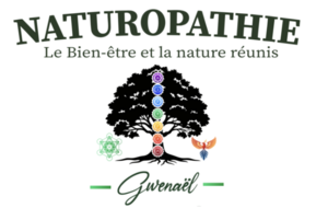Gwenaël Naturopathe Saint-Louis, Naturopathie