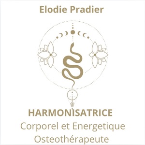 ELODIE PRADIER Champniers, Techniques énergétiques