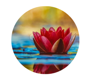 Eva Alcaïdé Landas, Reiki, Coach de vie