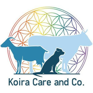 Koira Care and Co - Émeline VOITURET  Longcochon, Techniques énergétiques