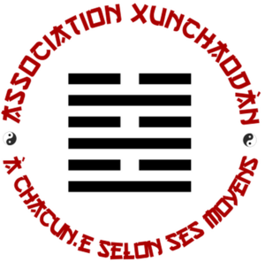 Association Xunchaodàn Villeurbanne, Professionnel de santé